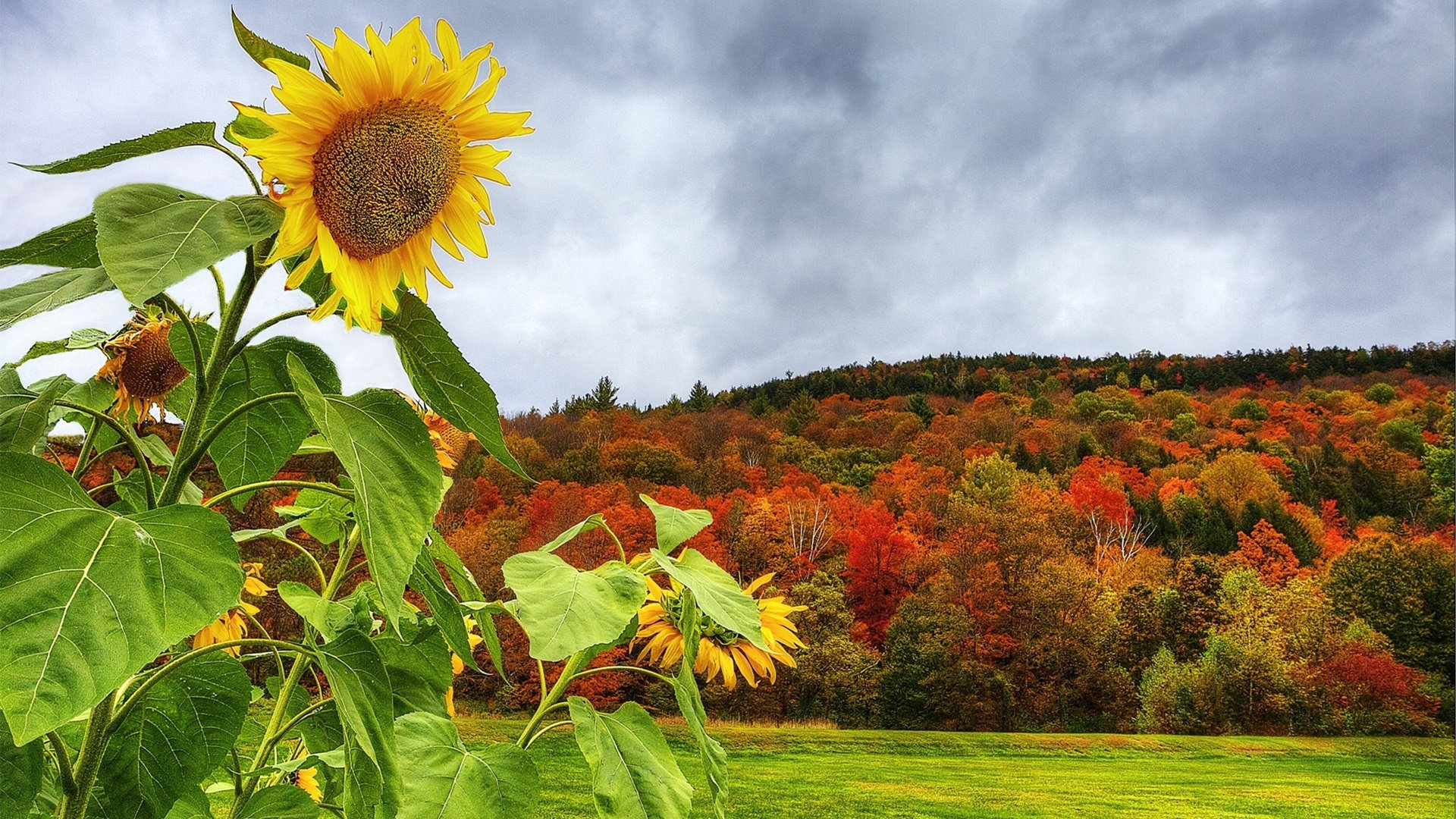实战经验是个很严苛的同学，即使她常常一上去就把你专对……