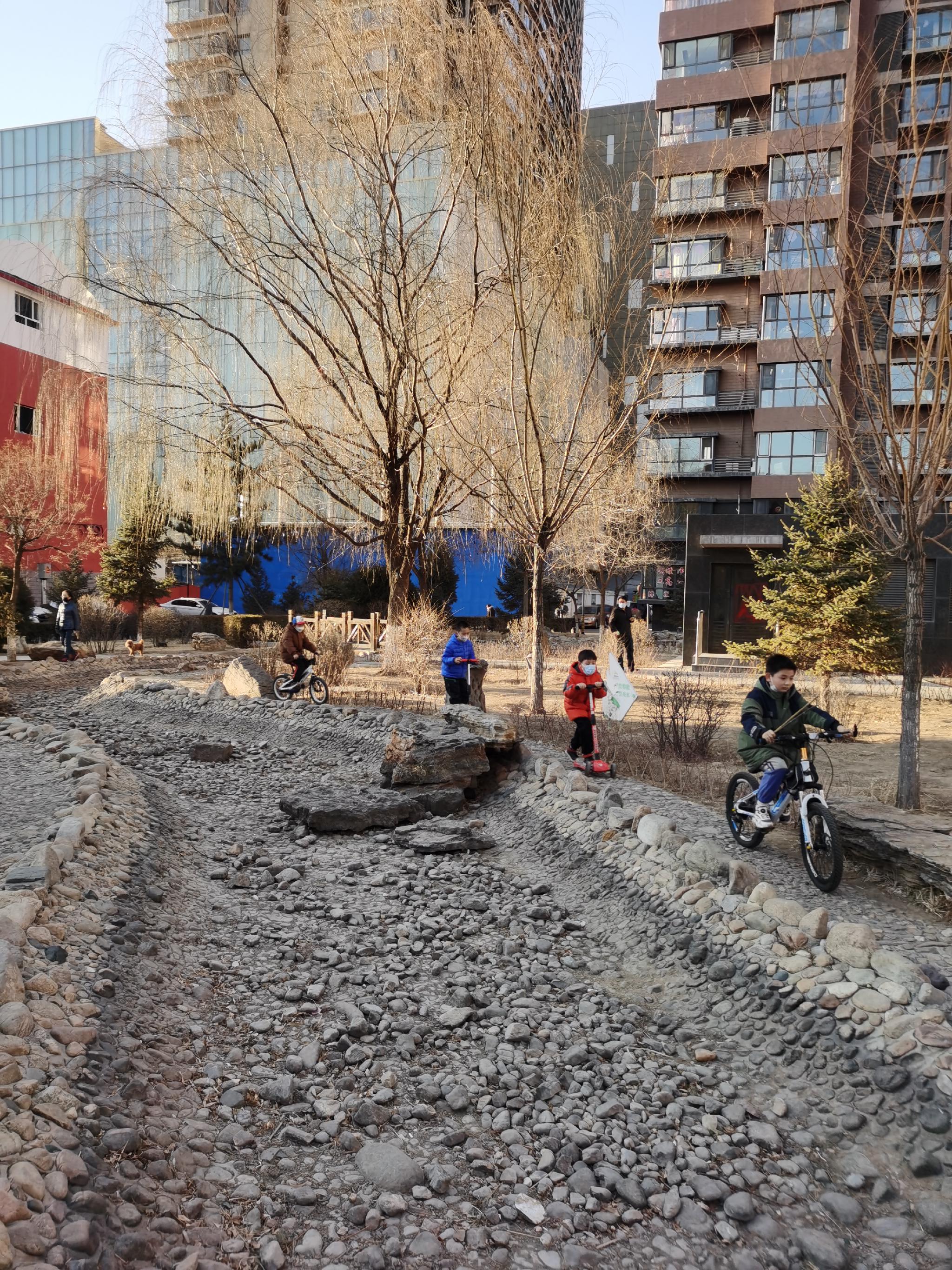 有什么正在发芽