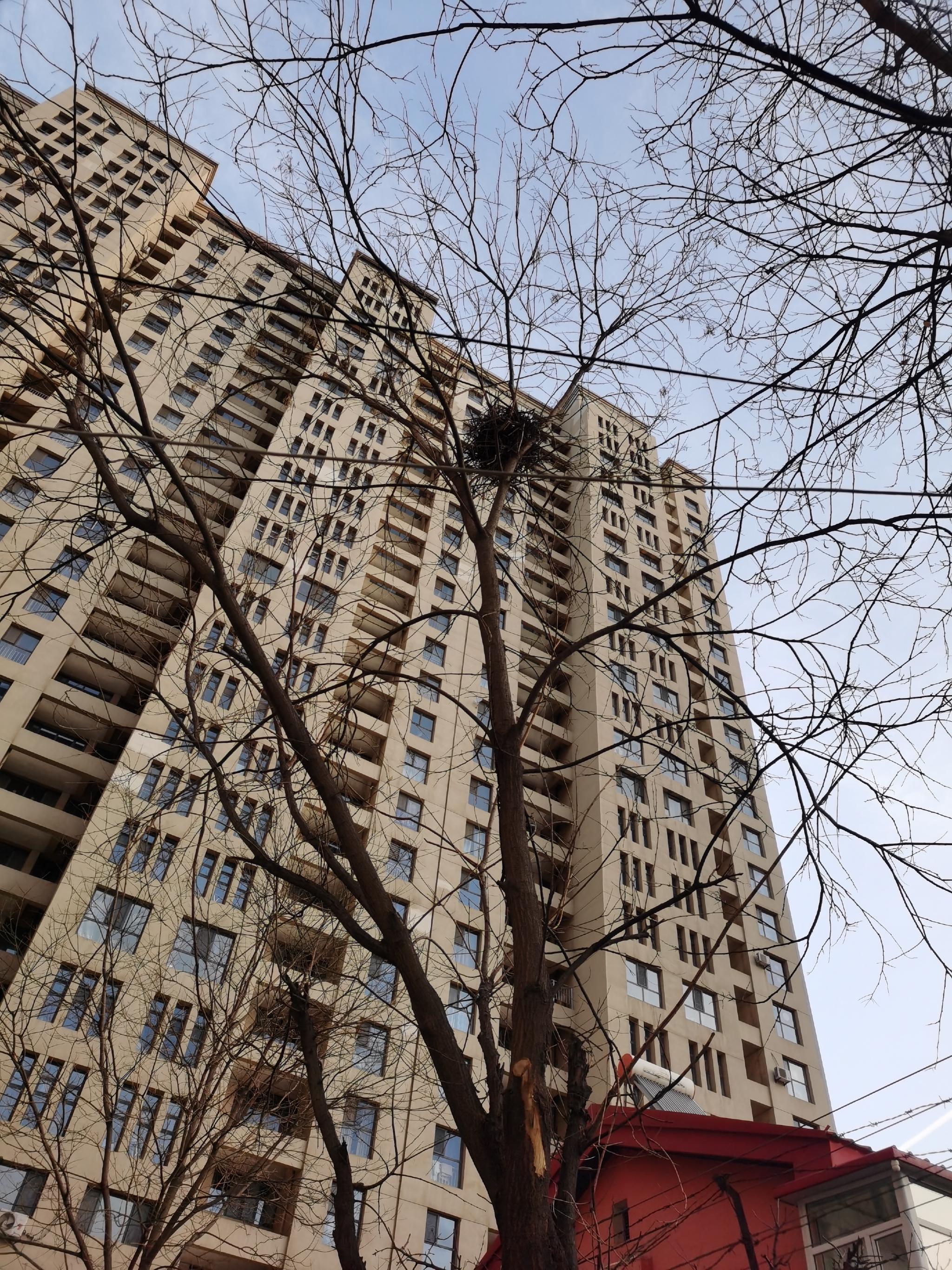 有什么正在发芽