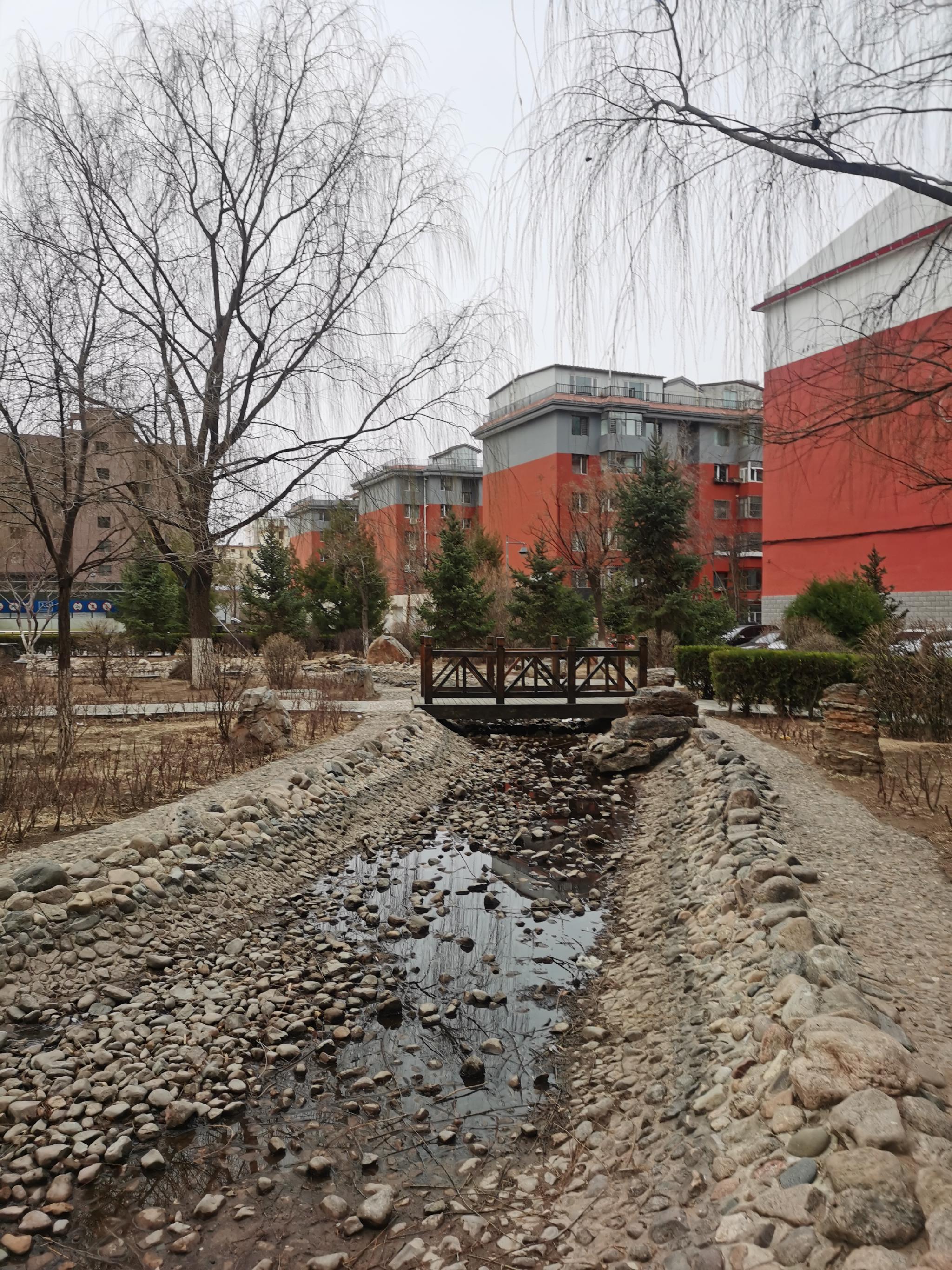 有什么正在发芽