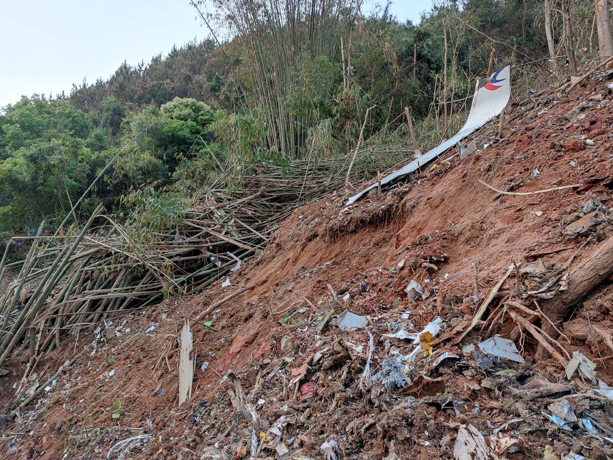 3月21日，搜救人员在广西藤县坠机现场发现的飞机残骸。来源：新华社
