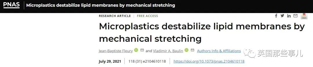 科学家首次在人类血液中发现了塑料微粒?!诸多隐患仍然未知!休闲区蓝鸢梦想 - Www.slyday.coM 科学家首次在人类血液中发现了塑料微粒?!诸多隐患仍然未知!休闲区蓝鸢梦想 - Www.slyday.coM