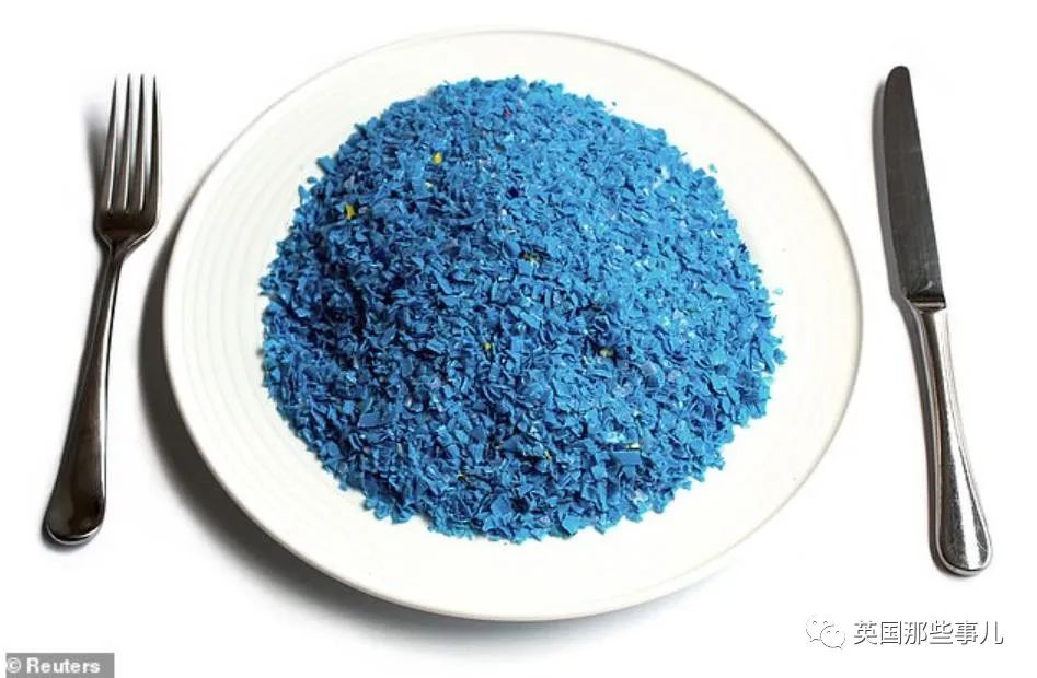 科学家首次在人类血液中发现了塑料微粒?!诸多隐患仍然未知!休闲区蓝鸢梦想 - Www.slyday.coM 科学家首次在人类血液中发现了塑料微粒?!诸多隐患仍然未知!休闲区蓝鸢梦想 - Www.slyday.coM