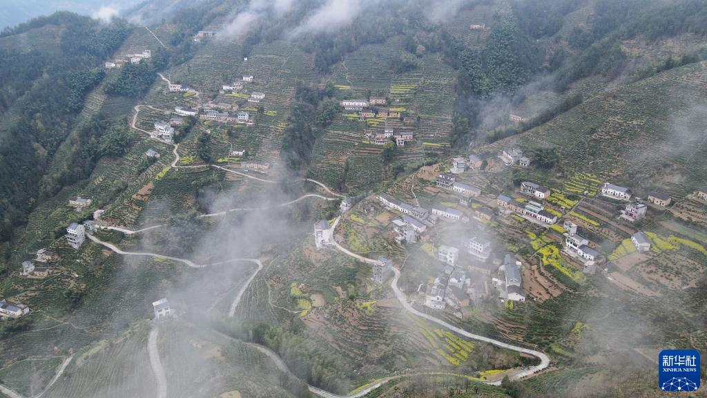 新华全媒+丨用奋斗砌出来的茶园长啥样?休闲区蓝鸢梦想 - Www.slyday.coM 新华全媒+丨用奋斗砌出来的茶园长啥样?休闲区蓝鸢梦想 - Www.slyday.coM