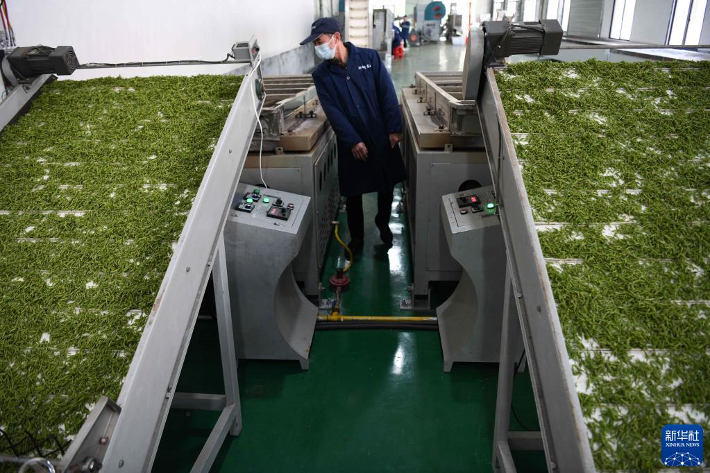 新华全媒+丨用奋斗砌出来的茶园长啥样?休闲区蓝鸢梦想 - Www.slyday.coM 新华全媒+丨用奋斗砌出来的茶园长啥样?休闲区蓝鸢梦想 - Www.slyday.coM