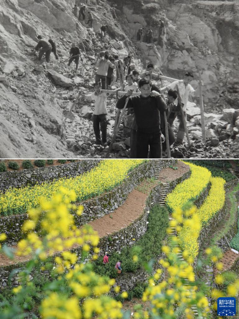 新华全媒+丨用奋斗砌出来的茶园长啥样?休闲区蓝鸢梦想 - Www.slyday.coM 新华全媒+丨用奋斗砌出来的茶园长啥样?休闲区蓝鸢梦想 - Www.slyday.coM