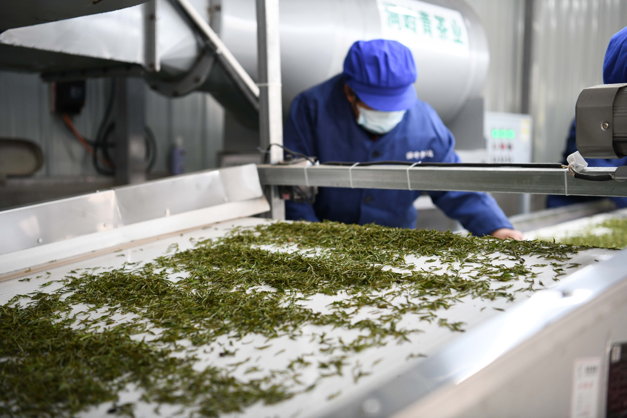 用奋斗砌出来的茶园长啥样?休闲区蓝鸢梦想 - Www.slyday.coM 用奋斗砌出来的茶园长啥样?休闲区蓝鸢梦想 - Www.slyday.coM