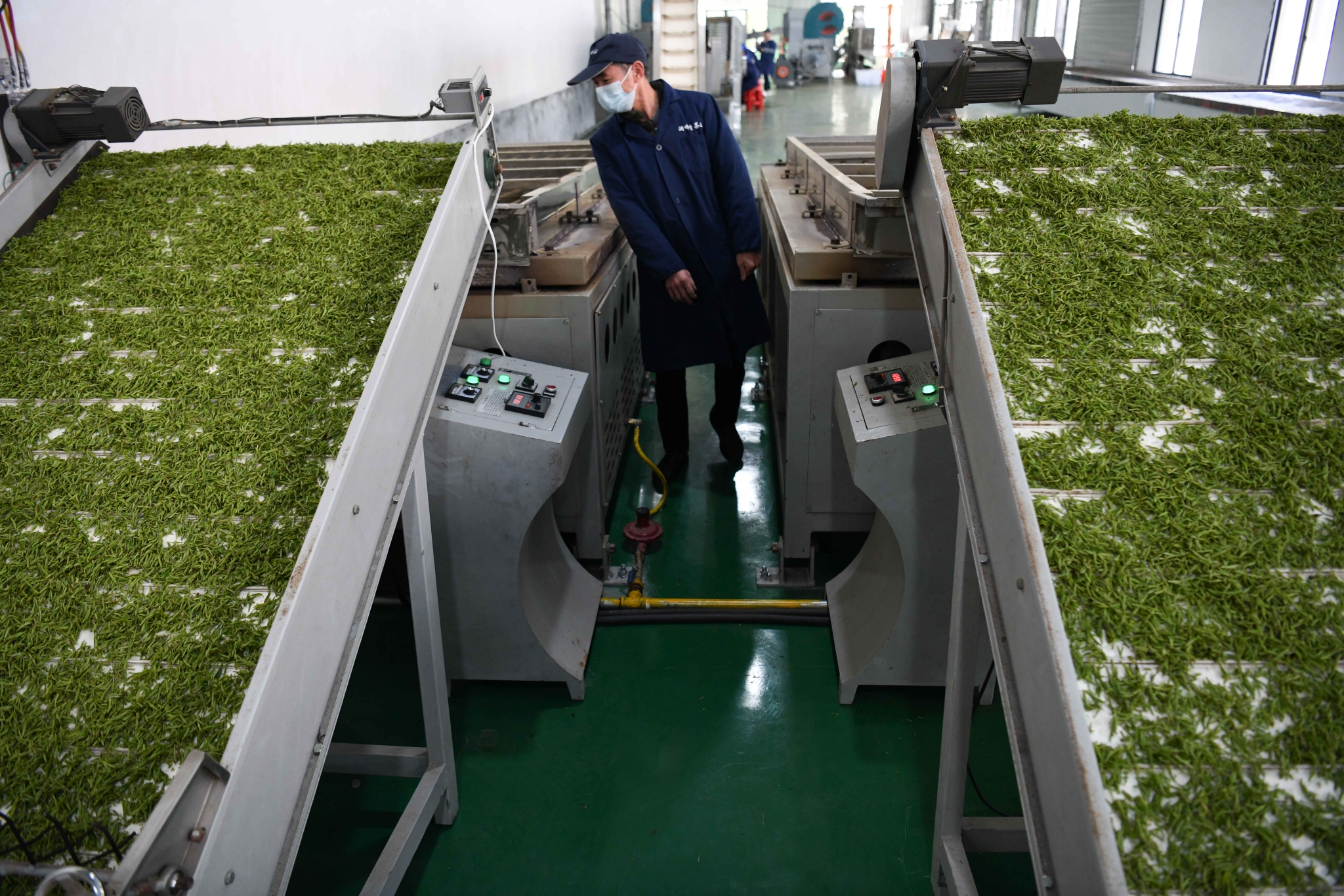 用奋斗砌出来的茶园长啥样?休闲区蓝鸢梦想 - Www.slyday.coM 用奋斗砌出来的茶园长啥样?休闲区蓝鸢梦想 - Www.slyday.coM