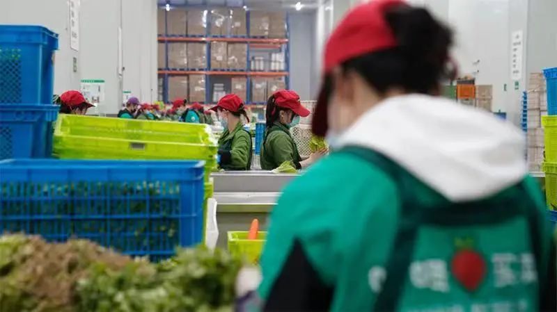 高岛屋一颗大白菜卖77.9元!最新通报休闲区蓝鸢梦想 - Www.slyday.coM 高岛屋一颗大白菜卖77.9元!最新通报休闲区蓝鸢梦想 - Www.slyday.coM