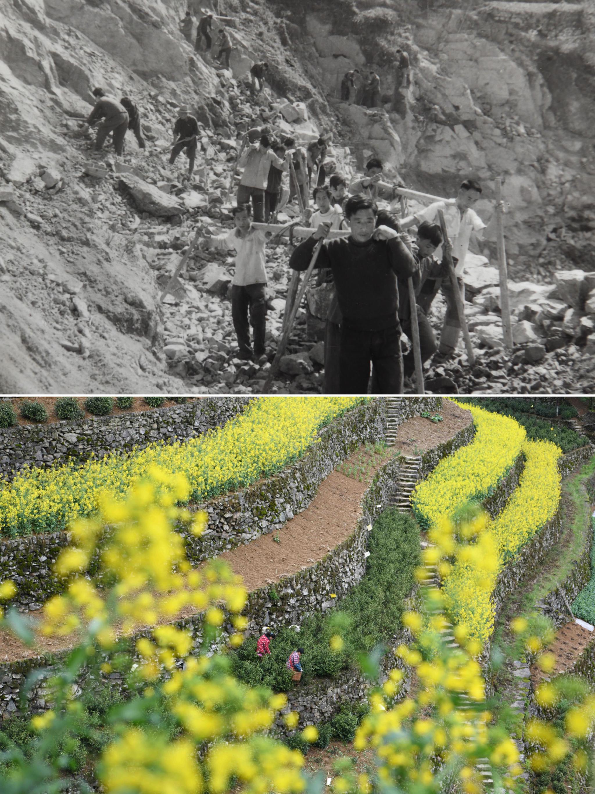 用奋斗砌出来的茶园长啥样?休闲区蓝鸢梦想 - Www.slyday.coM 用奋斗砌出来的茶园长啥样?休闲区蓝鸢梦想 - Www.slyday.coM