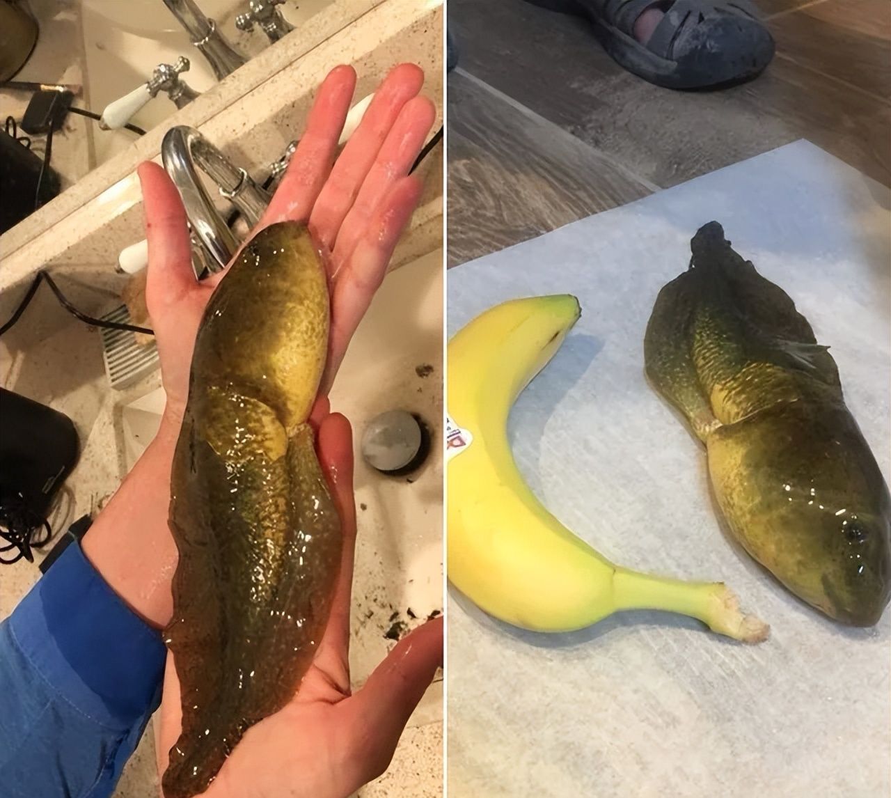 30张活久未见的照片，<a href=