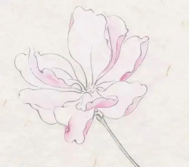 书画联盟丨工笔海棠花的画法
