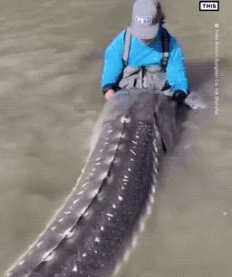 30张活久未见的照片，<a href=