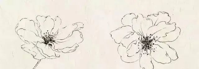 书画联盟丨工笔海棠花的画法