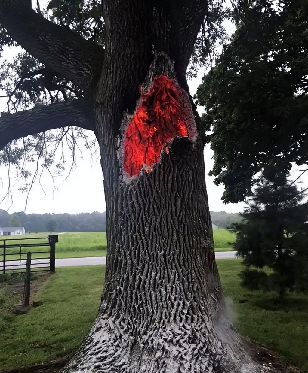 30张活久未见的照片，<a href=