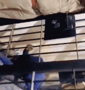 30张活久未见的照片，<a href=