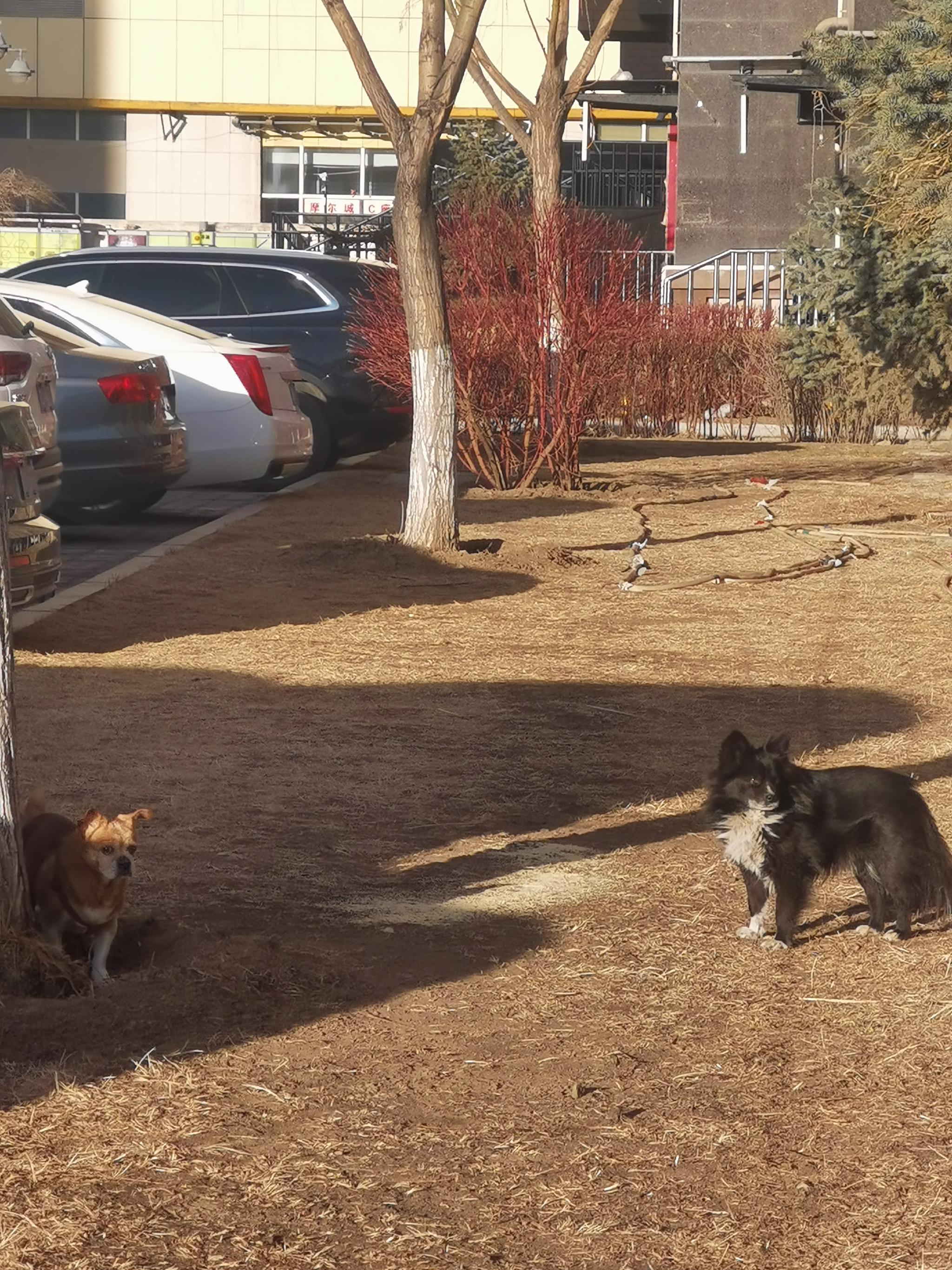 此时，遁入安宁之境