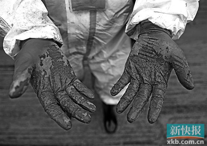 致哀 MU5735航班上132人全部遇难休闲区蓝鸢梦想 - Www.slyday.coM 致哀 MU5735航班上132人全部遇难休闲区蓝鸢梦想 - Www.slyday.coM