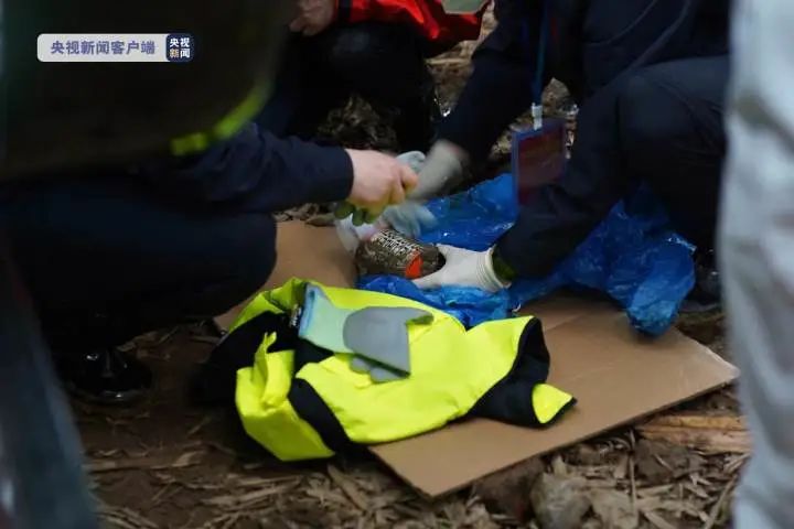 事故现场鸣笛致哀!第二个黑匣子已找到休闲区蓝鸢梦想 - Www.slyday.coM 事故现场鸣笛致哀!第二个黑匣子已找到休闲区蓝鸢梦想 - Www.slyday.coM