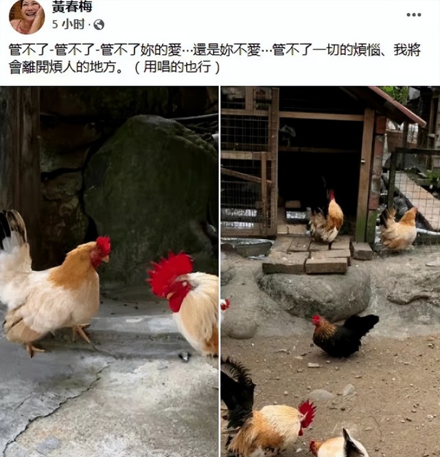 大S妈妈成麻辣丈母娘！发文抱怨不满53岁<a href=