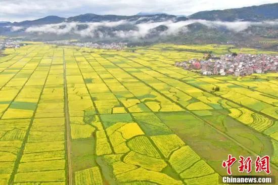 3.28 周一休闲区蓝鸢梦想 - Www.slyday.coM 3.28 周一休闲区蓝鸢梦想 - Www.slyday.coM