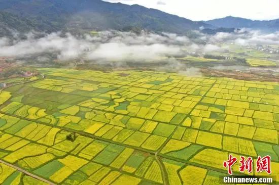 3.28 周一休闲区蓝鸢梦想 - Www.slyday.coM 3.28 周一休闲区蓝鸢梦想 - Www.slyday.coM