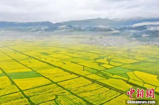 3.28 周一休闲区蓝鸢梦想 - Www.slyday.coM 3.28 周一休闲区蓝鸢梦想 - Www.slyday.coM