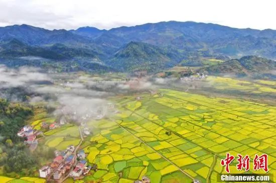 3.28 周一休闲区蓝鸢梦想 - Www.slyday.coM 3.28 周一休闲区蓝鸢梦想 - Www.slyday.coM