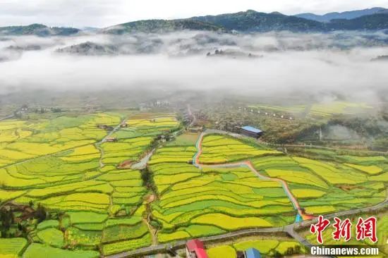 3.28 周一休闲区蓝鸢梦想 - Www.slyday.coM 3.28 周一休闲区蓝鸢梦想 - Www.slyday.coM