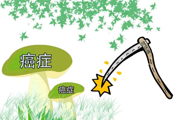 每天喝茶对身体有什么影响?为啥有人说喝茶不养生,还可能致癌?休闲区蓝鸢梦想 - Www.slyday.coM 每天喝茶对身体有什么影响?为啥有人说喝茶不养生,还可能致癌?休闲区蓝鸢梦想 - Www.slyday.coM