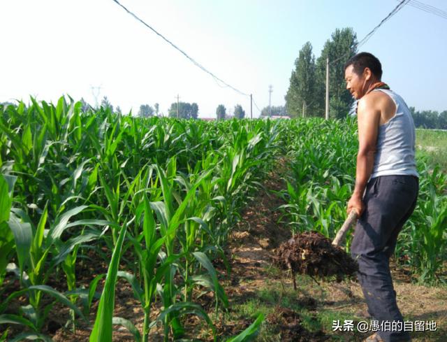 当年出轨的父亲骂我没教养,被我直接拉黑后,他又被继父“打脸”休闲区蓝鸢梦想 - Www.slyday.coM 当年出轨的父亲骂我没教养,被我直接拉黑后,他又被继父“打脸”休闲区蓝鸢梦想 - Www.slyday.coM