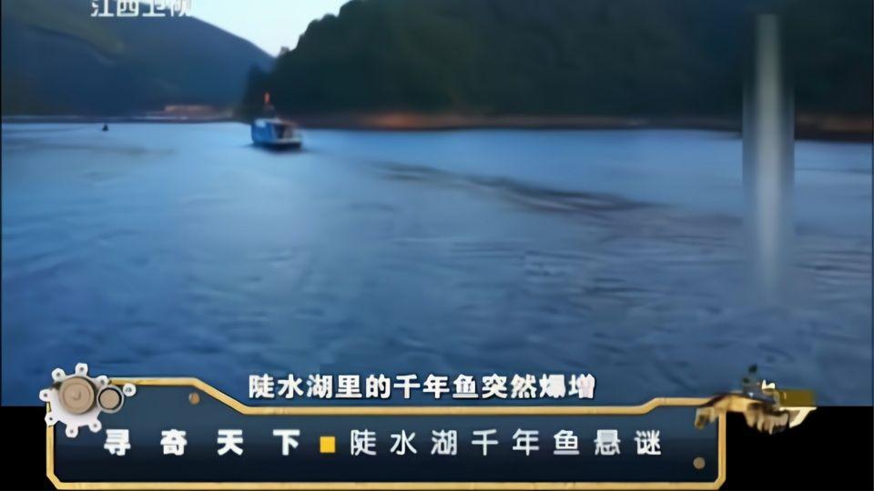 经典传奇寻奇天下陡水湖千年鱼悬谜