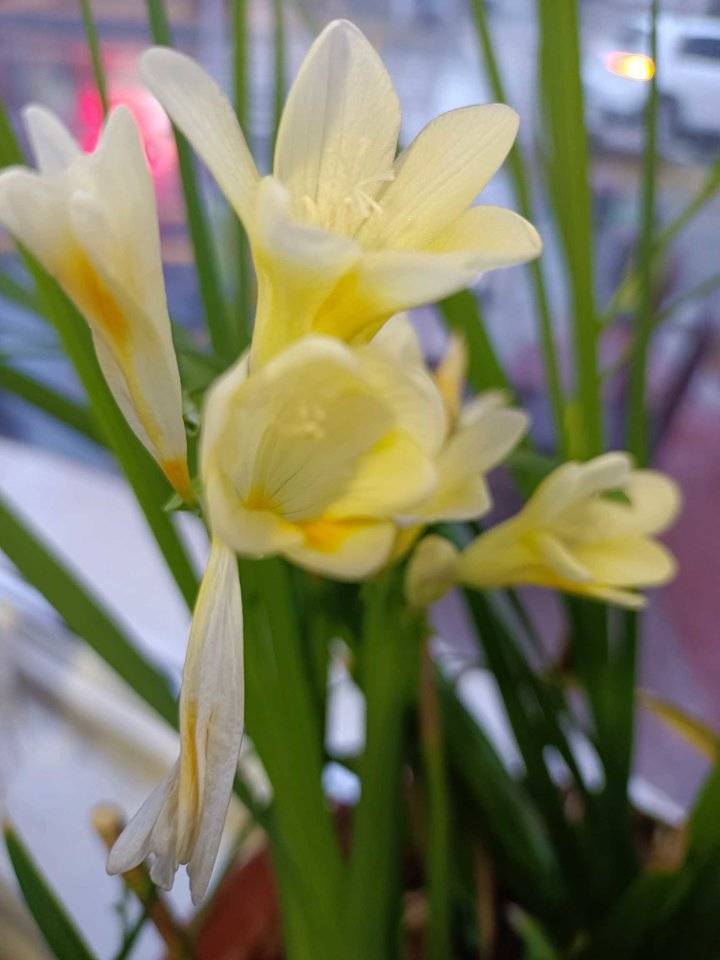 乡村教育者手记|王辉成:当了36年教师,想对你们说声“谢谢”休闲区蓝鸢梦想 - Www.slyday.coM 乡村教育者手记|王辉成:当了36年教师,想对你们说声“谢谢”休闲区蓝鸢梦想 - Www.slyday.coM