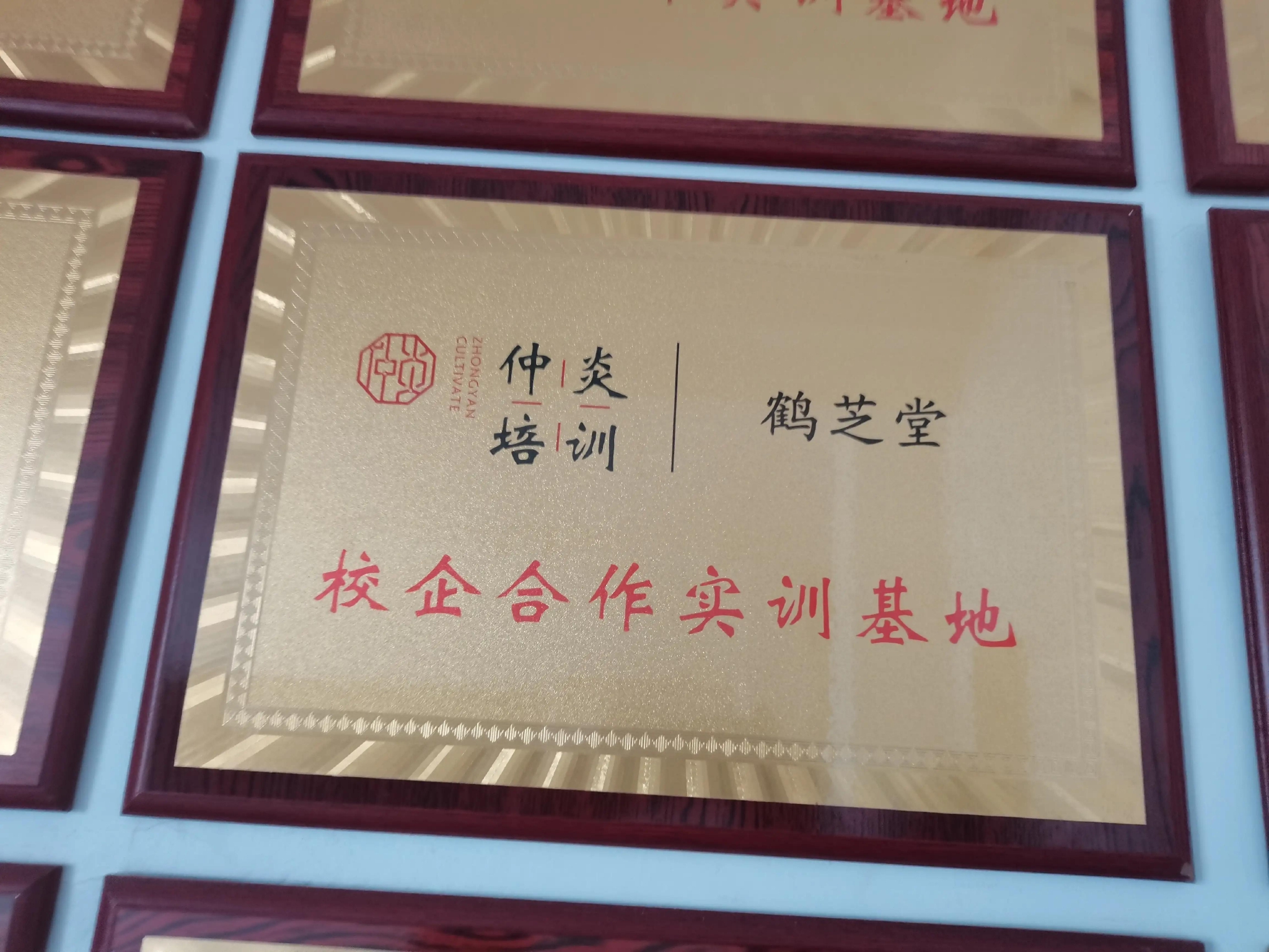 弘扬中医优秀文化探寻乡村振兴共同富裕之路访仲炎中医培训基地 弘扬中医优秀文化探寻乡村振兴共同富裕之路访仲炎中医培训基地