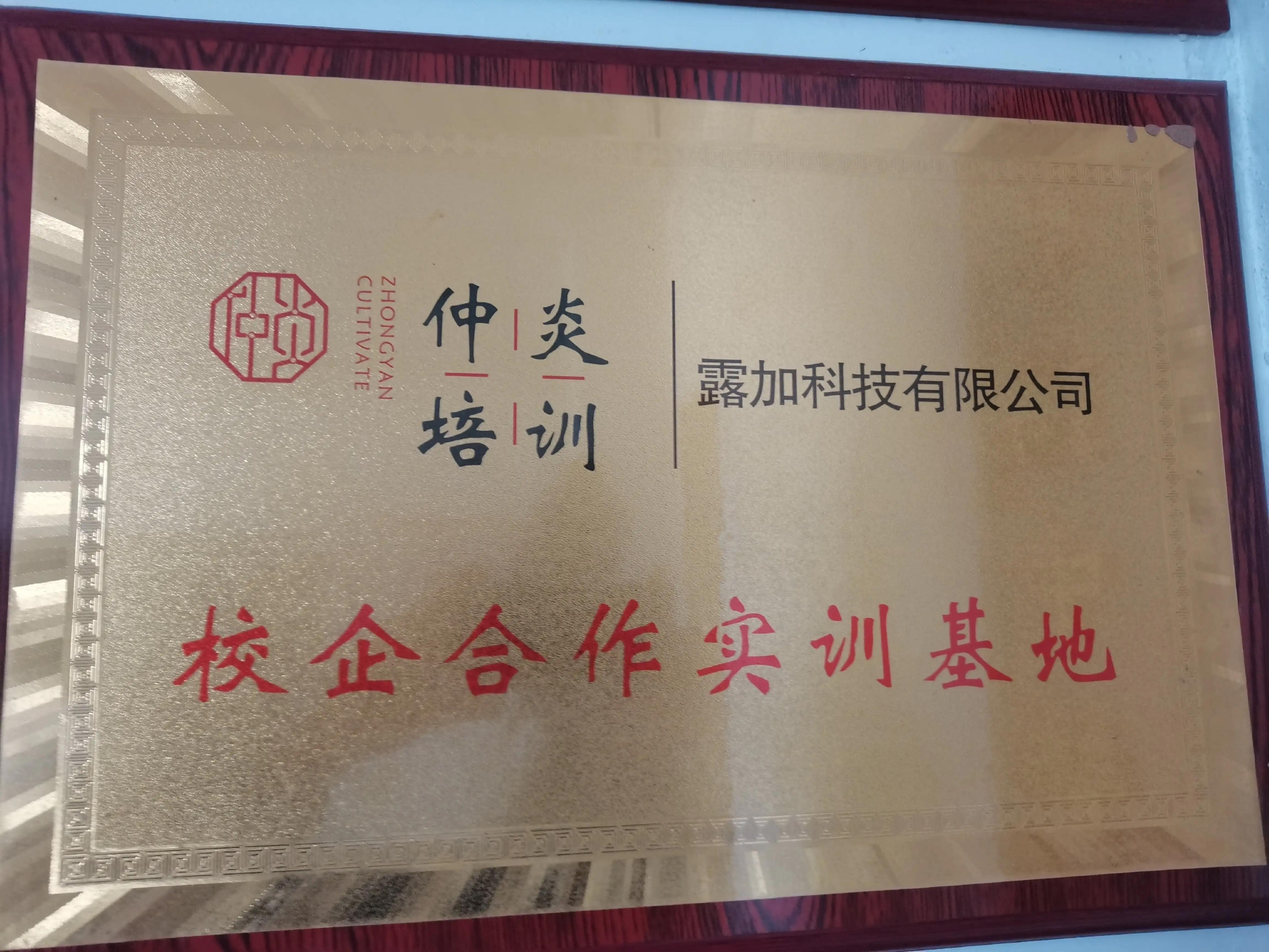 弘扬中医优秀文化探寻乡村振兴共同富裕之路访仲炎中医培训基地 弘扬中医优秀文化探寻乡村振兴共同富裕之路访仲炎中医培训基地