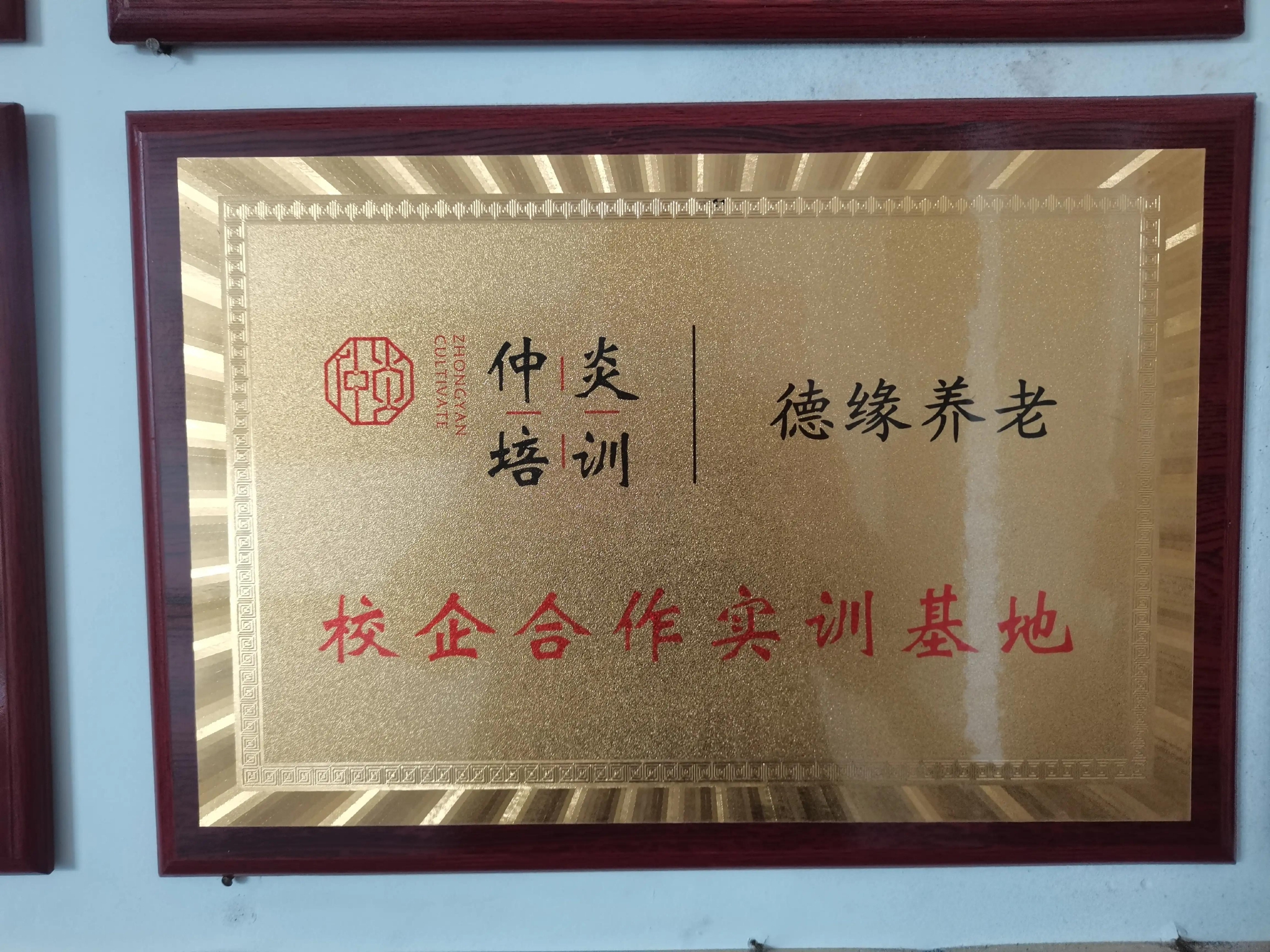 弘扬中医优秀文化探寻乡村振兴共同富裕之路访仲炎中医培训基地 弘扬中医优秀文化探寻乡村振兴共同富裕之路访仲炎中医培训基地