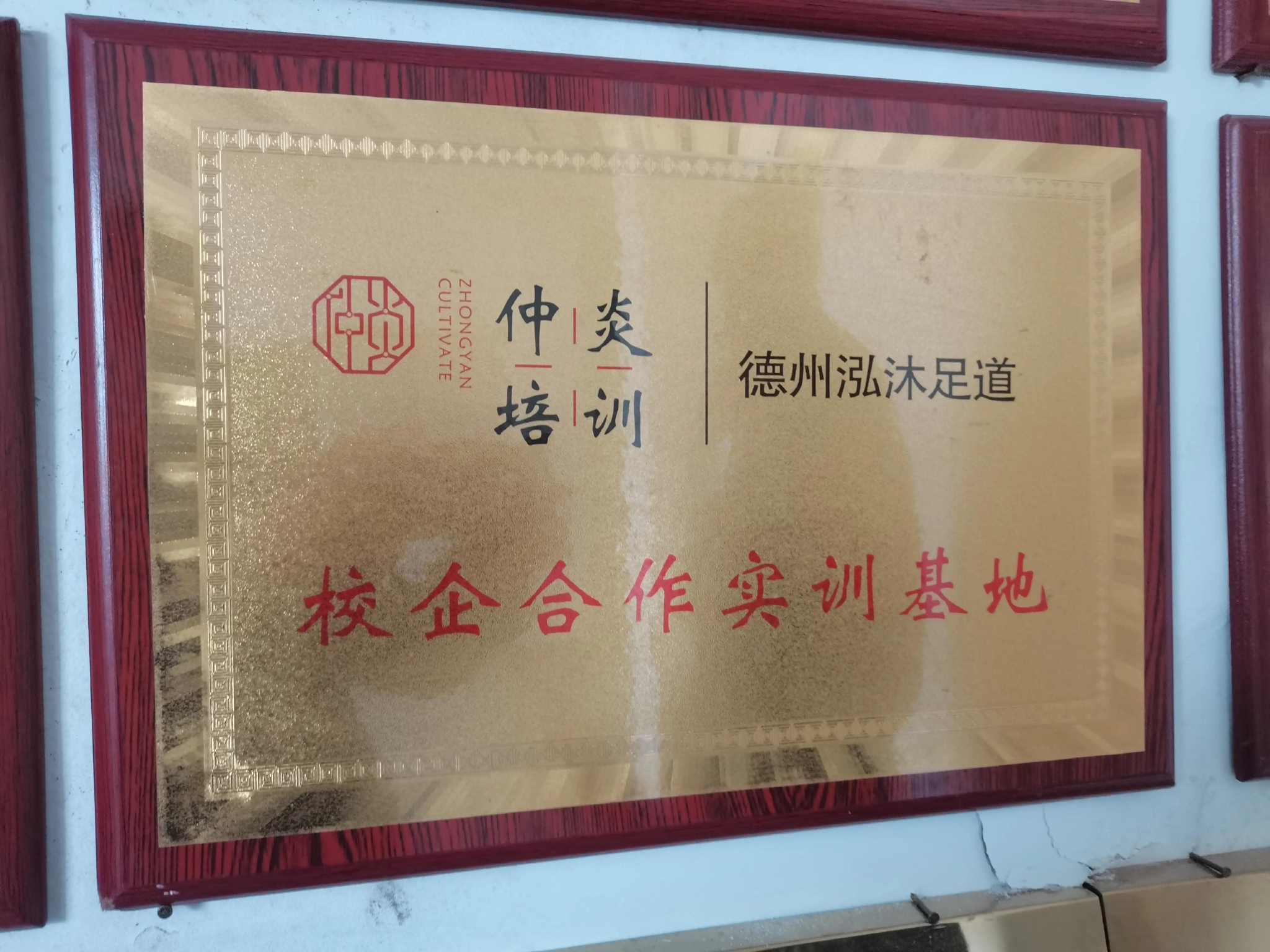 弘扬中医优秀文化探寻乡村振兴共同富裕之路访仲炎中医培训基地 弘扬中医优秀文化探寻乡村振兴共同富裕之路访仲炎中医培训基地