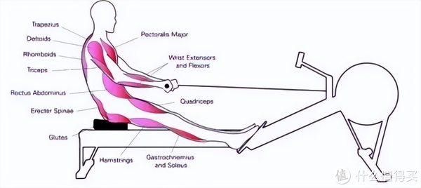 为什么建议大家即使报了健身房,家中也要自备一套高效的健身器械休闲区蓝鸢梦想 - Www.slyday.coM 为什么建议大家即使报了健身房,家中也要自备一套高效的健身器械休闲区蓝鸢梦想 - Www.slyday.coM