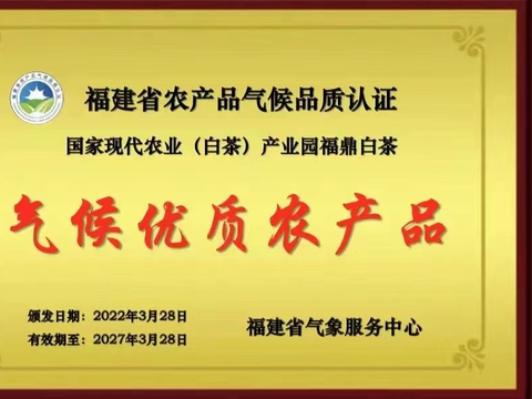 太姥山杵荼茶业荣获行业金奖，广受消费着的口碑与信赖