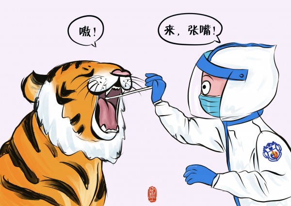 当“大白”遇上威猛“老虎” 这位斜杠医生用画笔送祝福、做科普、记战疫休闲区蓝鸢梦想 - Www.slyday.coM 当“大白”遇上威猛“老虎” 这位斜杠医生用画笔送祝福、做科普、记战疫休闲区蓝鸢梦想 - Www.slyday.coM