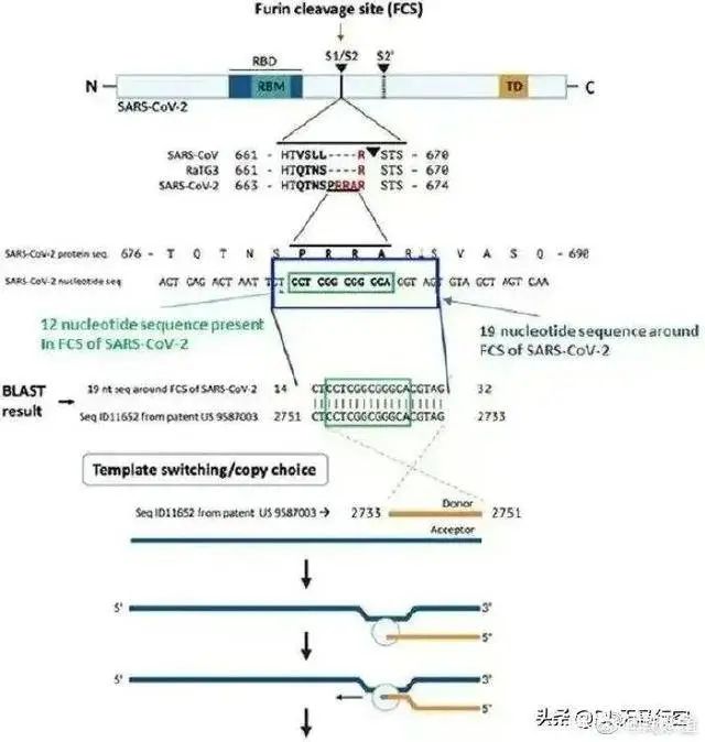 炸了!新冠新毒株XE问世,传播快10%?!新发现一种后遗症,恐无法根治……休闲区蓝鸢梦想 - Www.slyday.coM 炸了!新冠新毒株XE问世,传播快10%?!新发现一种后遗症,恐无法根治……休闲区蓝鸢梦想 - Www.slyday.coM