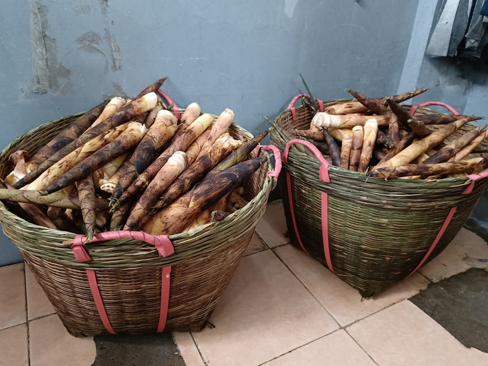 同心抗疫 上海有你|浦西封控倒计时,这些动物仍然有人陪伴休闲区蓝鸢梦想 - Www.slyday.coM 同心抗疫 上海有你|浦西封控倒计时,这些动物仍然有人陪伴休闲区蓝鸢梦想 - Www.slyday.coM