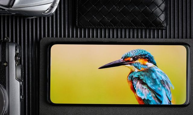 2022全面屏手机:摩托罗拉edge X30开售,中兴新机成下一个焦点休闲区蓝鸢梦想 - Www.slyday.coM 2022全面屏手机:摩托罗拉edge X30开售,中兴新机成下一个焦点休闲区蓝鸢梦想 - Www.slyday.coM