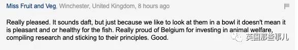 圆形金鱼缸在欧洲遭到多国禁售,因为“它会把金鱼逼疯”??!休闲区蓝鸢梦想 - Www.slyday.coM 圆形金鱼缸在欧洲遭到多国禁售,因为“它会把金鱼逼疯”??!休闲区蓝鸢梦想 - Www.slyday.coM