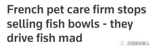 圆形金鱼缸在欧洲遭到多国禁售,因为“它会把金鱼逼疯”??!休闲区蓝鸢梦想 - Www.slyday.coM 圆形金鱼缸在欧洲遭到多国禁售,因为“它会把金鱼逼疯”??!休闲区蓝鸢梦想 - Www.slyday.coM