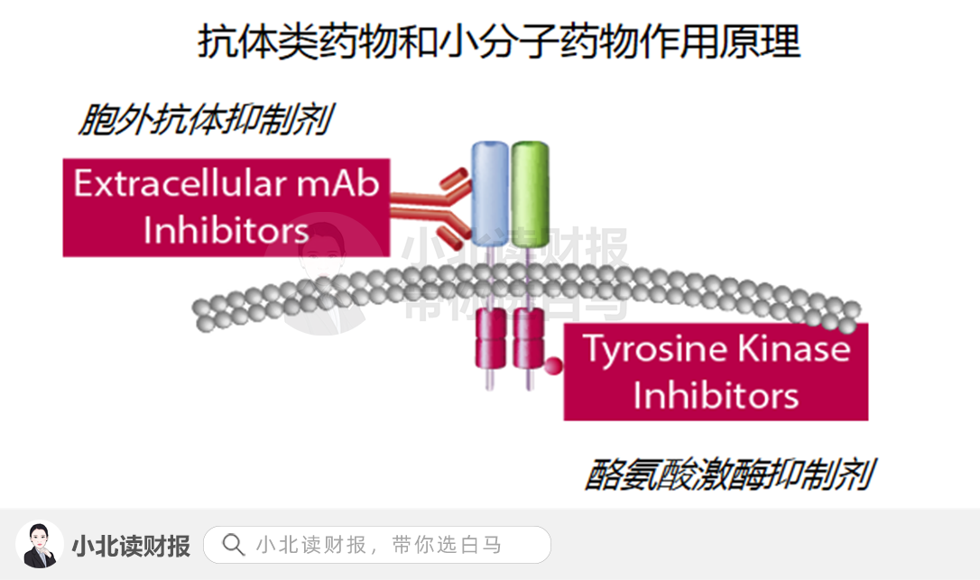 一个不得不接受的事实：生物药高成长的背后是