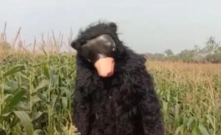 为驱赶猴子,<a href=