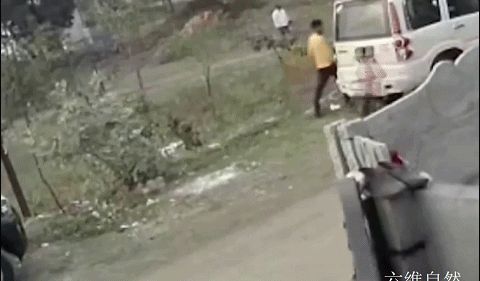 为驱赶猴子,<a href=