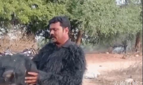 为驱赶猴子,<a href=