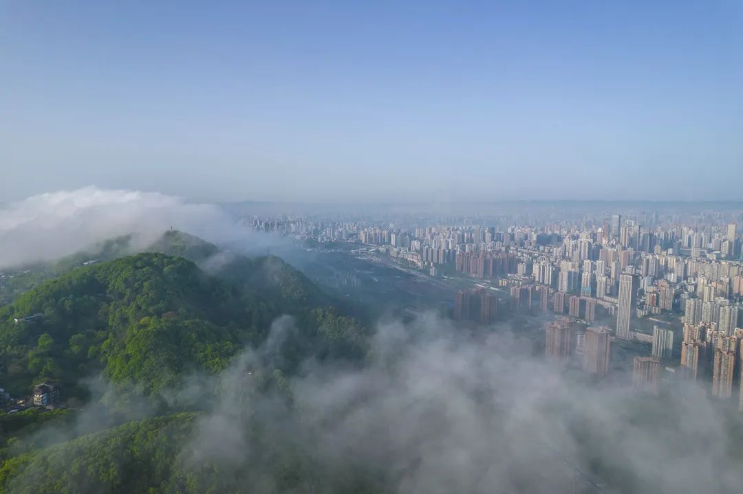 58f8-5d746a8e7ec384fdde5b27ccb0f2ee2a.jpg